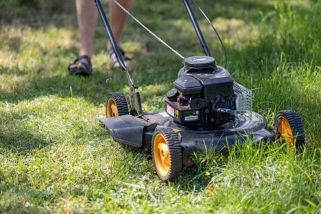 How Often Should Your Lawn Really Be Mowed?